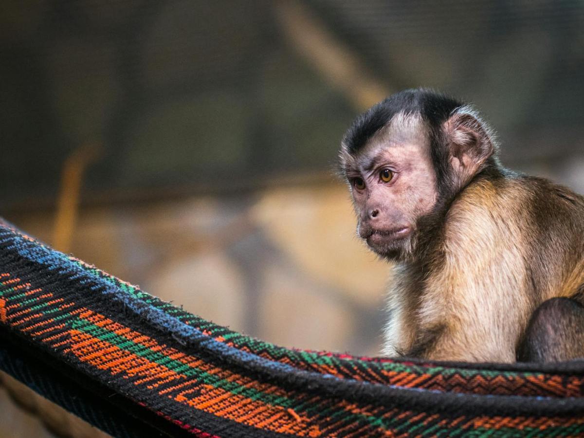 Om finessen med vetenskap