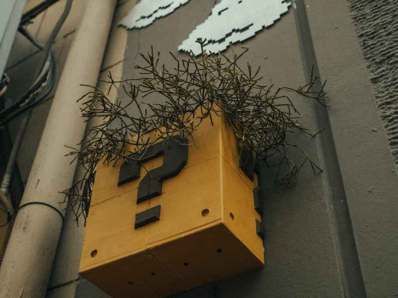 Guldgruva för frågvisa